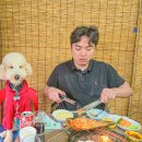 예삐애견 | 태종대 애견동반 조개구이 식당 '해신' 솔직후기