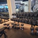 라이프위드짐 이미지