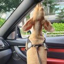 티엔에스모터스 이미지