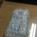 네오팝 | 반려견 인식표 - 네오팝 반려견 LED 인식표 후기.
