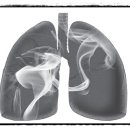 메디사랑약국 이미지