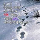 은빛세상 이미지