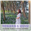 NR-34[서해로]-상-3 | [서천 가볼만한곳] 맥문동꽃축제 꿀팁 + 근처 맛집 유정식당 솔직리뷰
