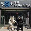 강서구-50 이미지