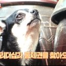 초리농장 이미지