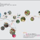 팔공산 둘레길 5구간 이미지