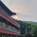 한스31