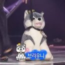 이모통닭 이미지