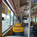 동이한방약국 이미지