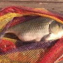 내곡낚시터 이미지