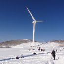 고원목장(2) 이미지