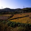 조양목장 이미지