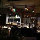 딜루디움 이미지