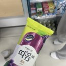 살찌는 계절☀️