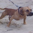 메이데이 이미지