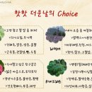 연앤지