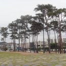 화성동양인력 네이버블로그