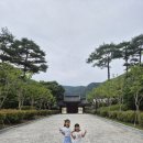 사명대사생가로 | 밀양 아이랑 가볼만한 곳 | 사명대사유적지 연꽃놀이터 + 밀양카페 네이처 후기