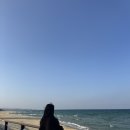 소돌오토바이