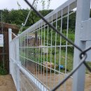 대문안 농장 이미지