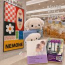 도그몰 | 롯데백화점 광복점 | 캐릭터샵•소품샵 “네모네” 방문 후기 | 부산 남포 오타쿠투어
