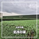 서부면 원당마을회관 | 김포카페 포레리움에서 노키즈존&amp;키즈존 완벽 분리된 감성 대형 카페