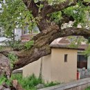 남창경로당 이미지