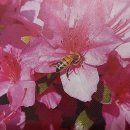 60년 전부터 ‘꿀벌 실종’ 경고한 레이철 카슨(동아일보) / [빛명상] [SW정광호의 행복칼럼]꿀벌실종사건 범인은 전자파 이미지