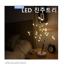 진주조명 이미지