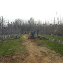 고덕면017 이미지