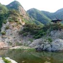 호서삼계탕 이미지