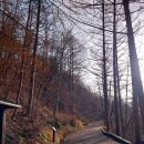 대전둘레산길(2구간) | [대전] 만인산자연휴양림 태조대왕태실 왕에게로가는길&amp;대전천발원지길을 걸으며 역사산책 #RoAD