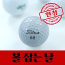타이틀리스트 - 남구 삼산로 288 | 타이틀리스트