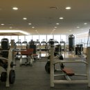 바디 앤 소울 이미지