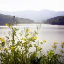 천탑마을 이미지