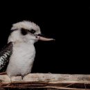 애망요양원 이미지