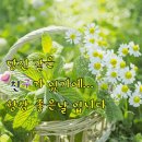 근이례(近而禮) 이미지