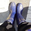 계룡농장 이미지