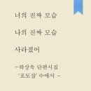 하상욱 - 애니팡 이미지