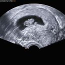 마이더스산부인과의원 이미지