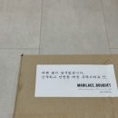 마리레이스 | [W20-1. 부케준비] 웨딩촬영 조화 부케 준비/마리레이스 내돈내산 솔직 후기