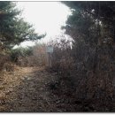 안면하우스 이미지