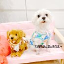 디어뚜뚜 네이버블로그