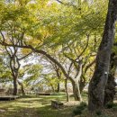 함평해수찜 이미지