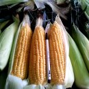 무주냉동 이미지