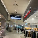 하이풀 스포츠 | 은평구 해수풀 수영장 [하이풀스포츠] 다녀온 후기/찾아가는 방법/수강정보/시설