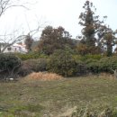 상가보건진료소 이미지