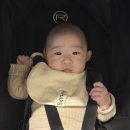 마틴스 라운지 | 11월(백일촬영,부산호캉스,먹부림)