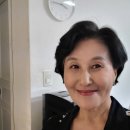 전여옥 카카오 검색결과