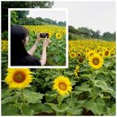 사목2리 이미지